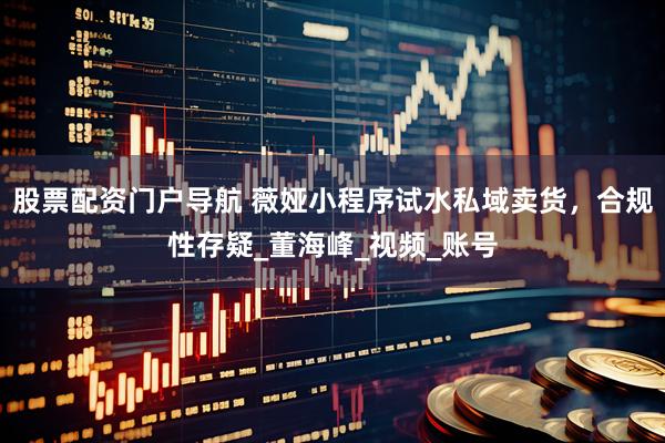 股票配资门户导航 薇娅小程序试水私域卖货，合规性存疑_董海峰_视频_账号